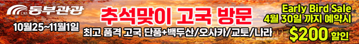 동부관광 추석맞이 고국방문